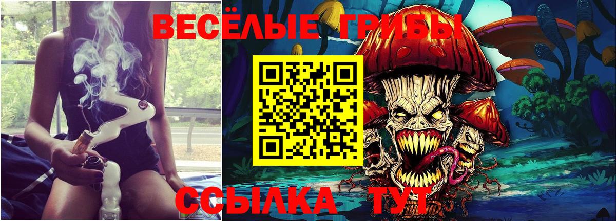 Псилоцибиновые грибы прущие грибы Мценск