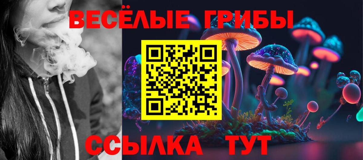 Галлюциногенные грибы MAGIC MUSHROOMS  что такое   Мценск  Вход с VPN 